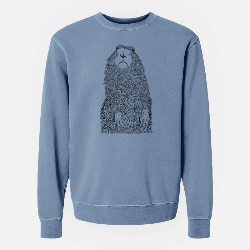 Buy Now Bare Mr. Otis the Prairie Dog - Unisex Pigment Dyed Crew Sweatshirt