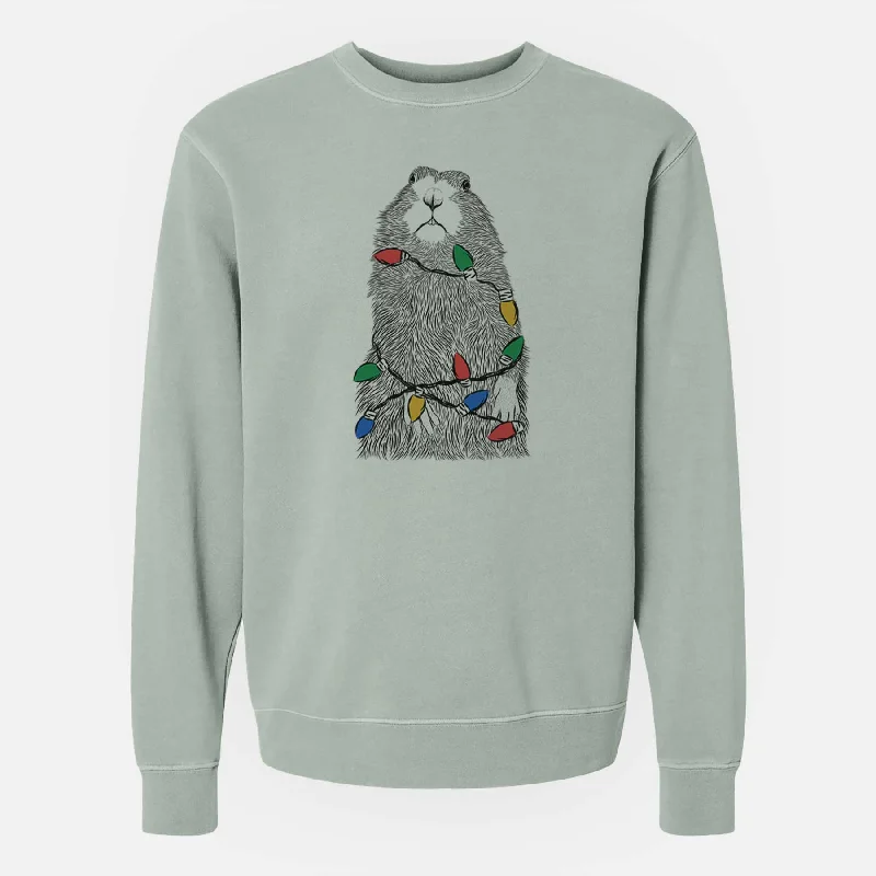 Best Bargains Christmas Lights Mr. Otis the Prairie Dog - Unisex Pigment Dyed Crew Sweatshirt Best Bargains Christmas Lights Mr. Otis the Prairie Dog - Unisex Pigment Dyed Crew Sweatshirt