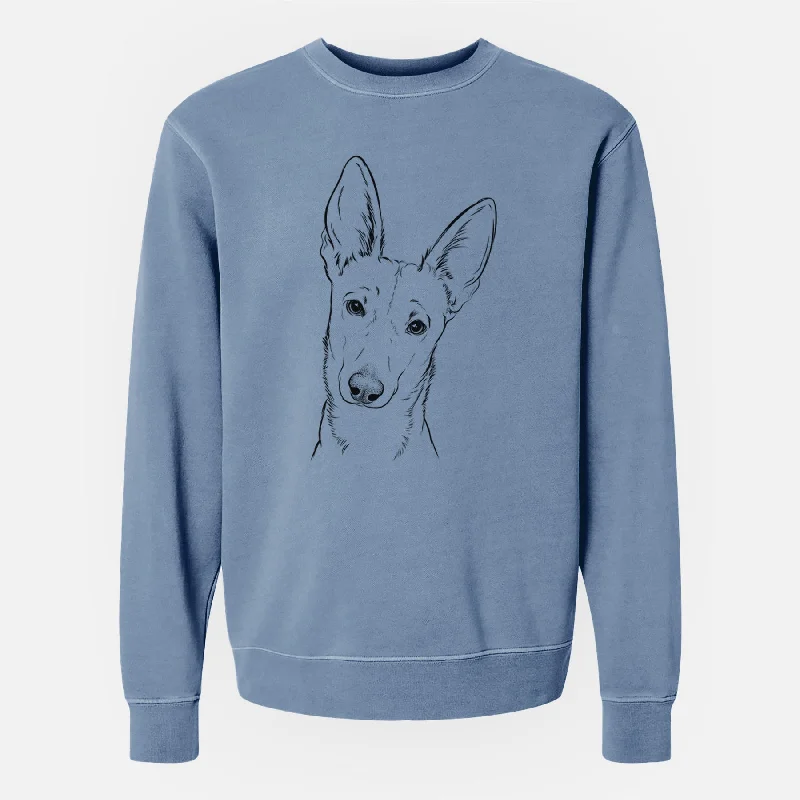 eco-friendly fitness hoodieBare Nala the Carolina Dog - Unisex Pigment Dyed Crew Sweatshirt