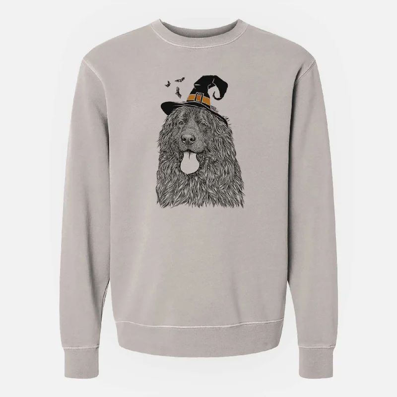 Special Savings Witch Neptune the Newfoundland - Unisex Pigment Dyed Crew Sweatshirt Special Savings Witch Neptune the Newfoundland - Unisex Pigment Dyed Crew Sweatshirt