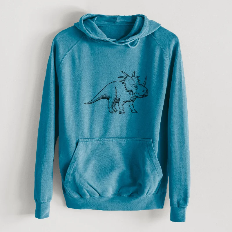 athletic streetwear sweatshirtStyracosaurus Albertensis  - Mid-Weight Unisex Vintage 100% Cotton Hoodie