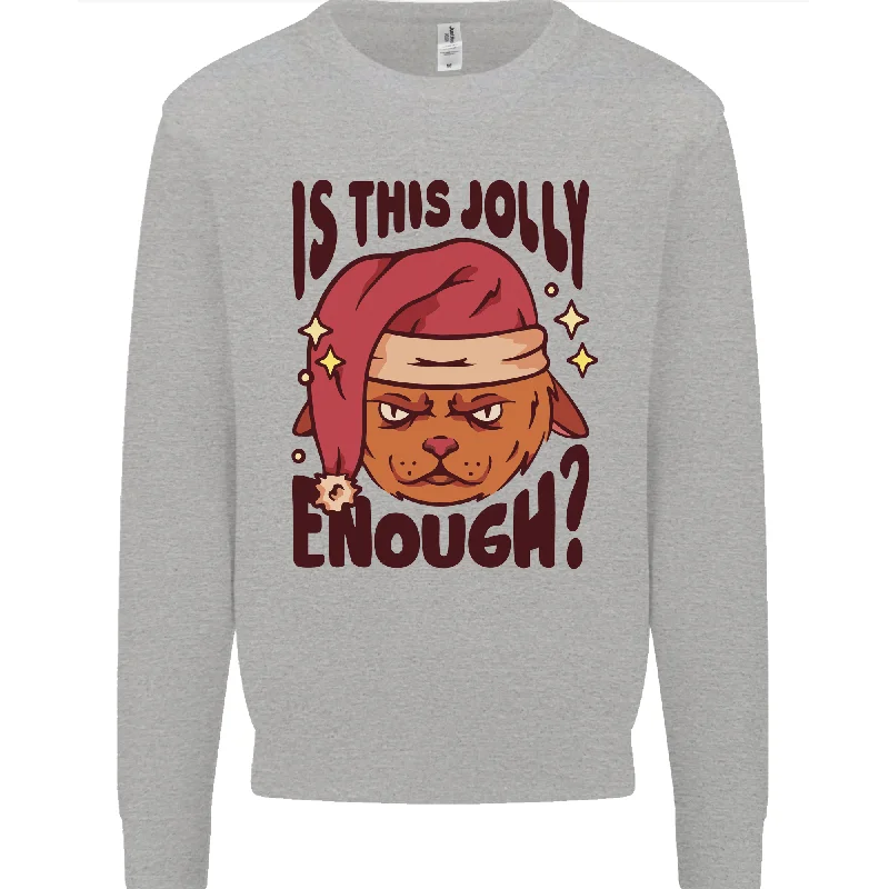 Bargain Prices Christmas Cat Is This Jolly Enough Funny Mens Sweatshirt Jumper
