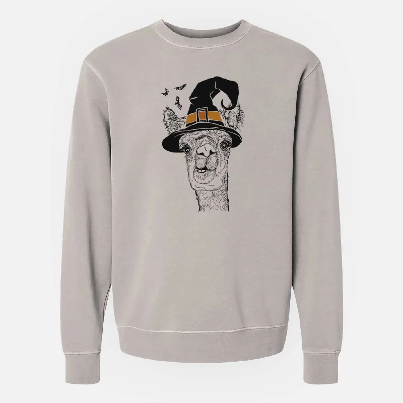Act Now Witch Henry the Alpaca - Unisex Pigment Dyed Crew Sweatshirt