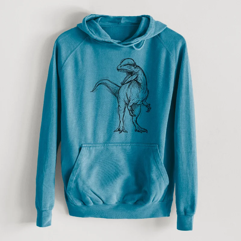 comfy workout sweatshirtDilophosaurus Wetherilli  - Mid-Weight Unisex Vintage 100% Cotton Hoodie